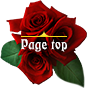 Page top