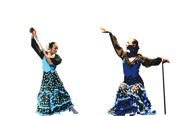 所沢市のフラメンコ教室 Estudio Rosa（エストゥディオ・ローサ）